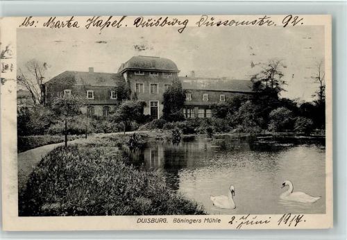 Duisburg Böningers Mühle Schwäne