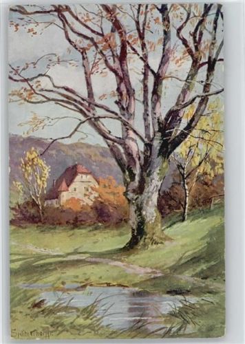 Nr. 1630 - 1914 AK Großer Baum - Teich -