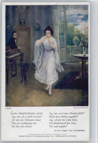 Bunte Reihe Nr. 76 - sign Broch - Dreimädelhaus
