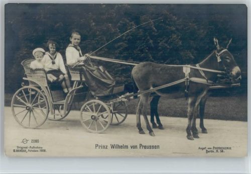 Prinz Wilhelm in einer Kutsche mit Esel - Ausfahrt Original-Aufnahme Berger Nr. 2080