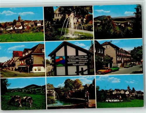 Schmallenberg Ortsansichten Springbrunnen Kühe Mehrfachaufnahme
