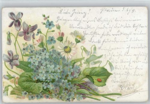 1901 Vergissmeinnicht Blumen, litho