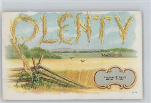 Language of Flowers - Wheat "Plenty - Heuernte