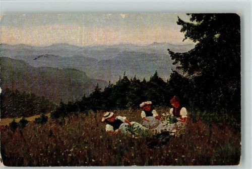 Serie I Nr. 5 - Künstlerpostkarten aus dem Schwarzwald