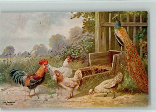 Serie 255 - Geflügel und Pfau