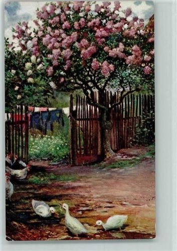 1916 Baum am Gartenzaun AK