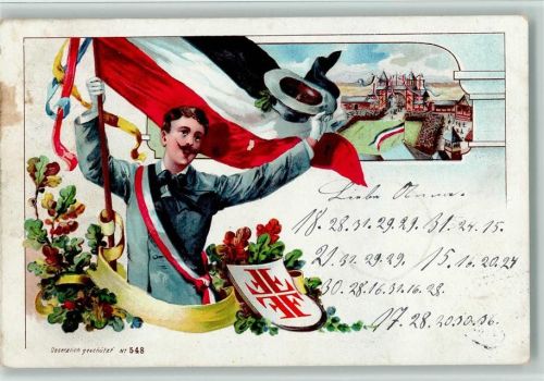 1899 nr. 548 - Fahnenträger - Festplatz