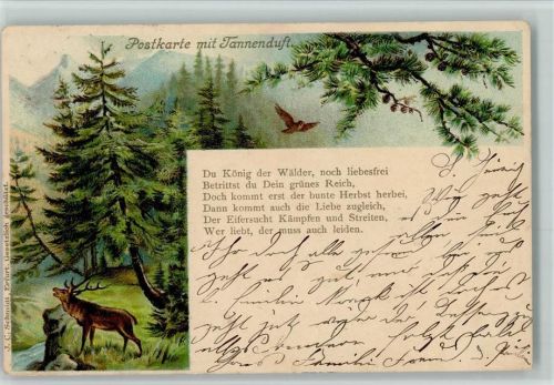 Tannenduft - Verlag J.C. Schmidt AK Kl. Eckknick Duftkarte 1902
