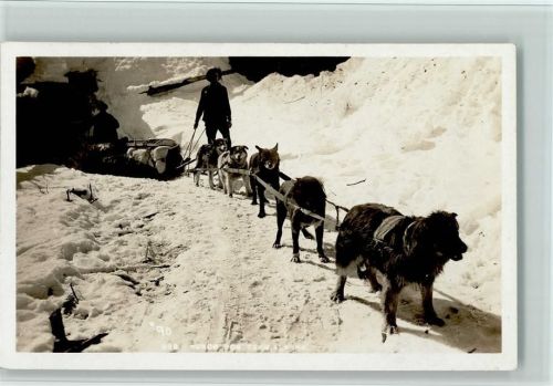 ca 1930 in Kanada - gute Erhaltung Hundeschlitten Foto AK