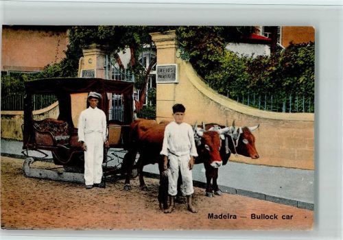 Bullock car - Ochsengespann mit Schlitten , gute Erhaltung 1915 AK