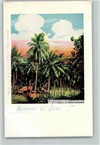 1899 Weltreise Verlag Comet Nr. 108 - Anjer - Palmenhain