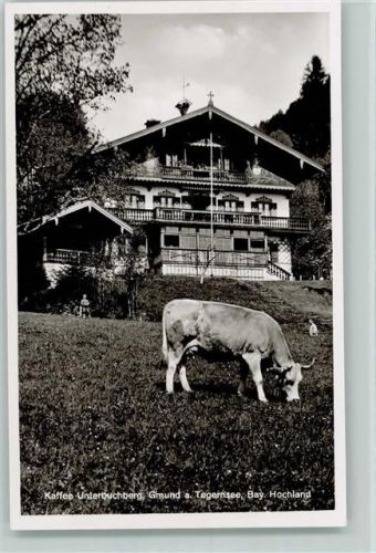83703 W8184 Gmund a. Tegernsee - Kaffee Unterbuchberg Kuh