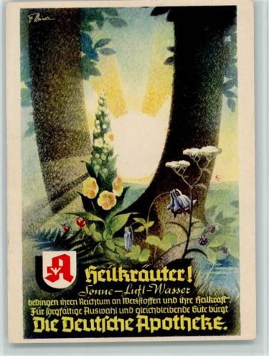 Die Deutsche Apotheke 1938 AK Heilkräuter Apotheke Künstlerkarte