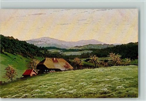 Schwarzwaldhäuser , Moos Serie VI Nr. 17 AK Nessel