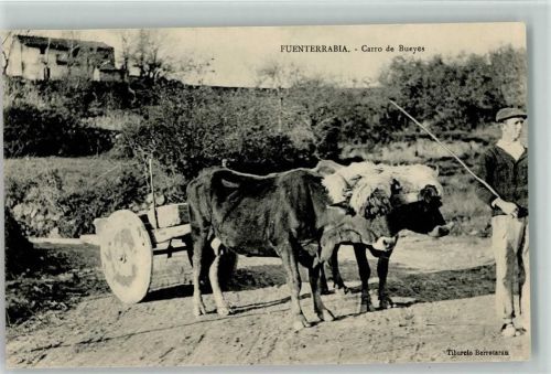 Fuenterrabia - Carro de Bueyes - Ochsenkarren - Volkstypen aus Spanien , Bauern
