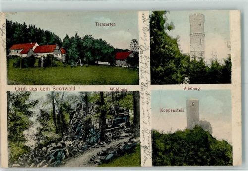 Sobernheim 1911 Tiergarten Wildburg Alteburg Koppenstein