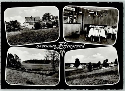 Wüstbuch Gasthaus Erlengrund