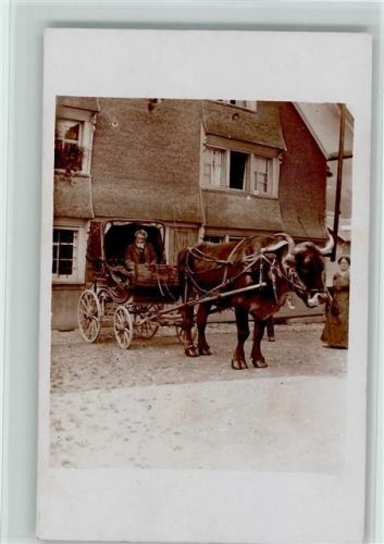 1912 Kutsche mit Ochsen AK
