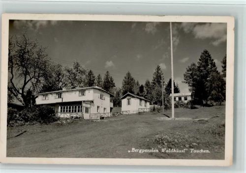 Tauchen 1935 Bergpension Waldhäusl AK