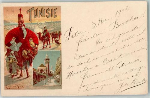 Tunis 1902 Sidi Youssef Moschee Camel