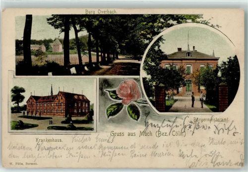 53804 W5203 Much 1908 - Krankenhaus Bürgermeisteramt Burg Overbach Rosenblüte