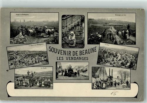 Beaune 1913 Weinlese