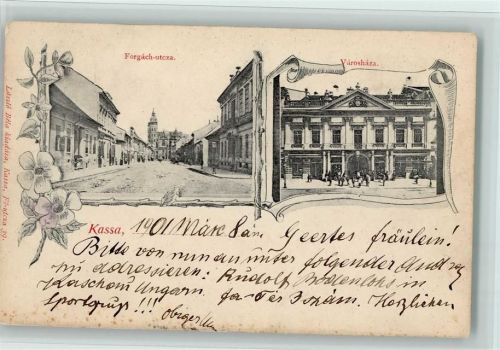 1901 Varoshaza, Forgach-utcza , Erhalunt II AK