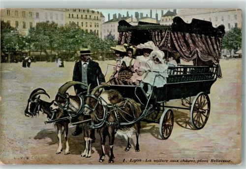 Lyon Ziege La voiture aux cheures , place Bellecour AK