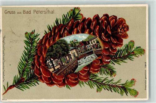 Bad Peterstal Tannenzapfen Die Rench Lithographie