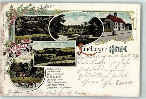 29683 W3032 Fallingbostel 1899 Lithographie Lüneburger Heide sieben Steinhäuser Ober-Haverbeck bei Wilsede Altes Bauernhaus bei Heber Lith Rathaus Soltau