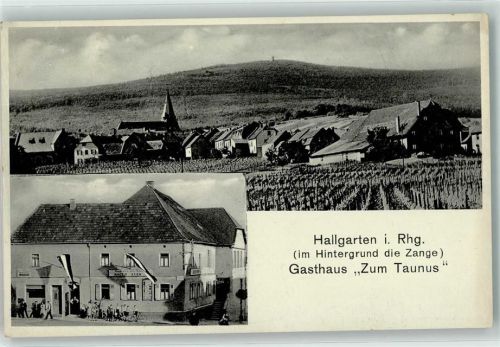 Hallgarten Gasthaus zum Taunus