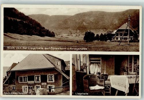 Menzenschwand Haus Albiez Pension Liegehalle Spisshorn Kriegshalde