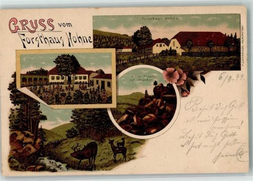 38855 O3706 Drei Annen Hohne 1899 Gebrauchsspuren Gasthaus Forsthaus Hohne Hirsch Rehe Halina Klippen Lithographie