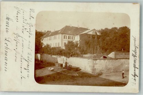 Ellwangen 1906 Herrenhaus Steinbrunnen Gänse