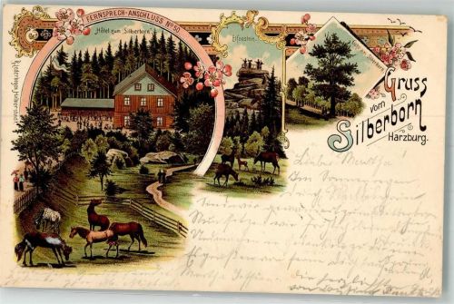 37603 W3450 Silberborn 1898 Lithographie Hotel zum Silberborn Elfenstein Perdeweide