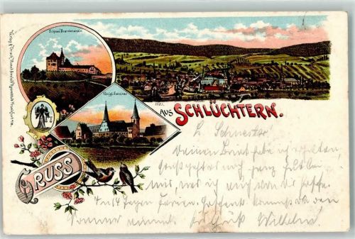 Schlüchtern 1901 Schloss Brandenstein Königliches Seminar Vögel Kirche Gruss Blumen
