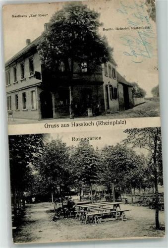 67454 W6733 Haßloch , Pfalz Foto AK Gasthaus "Zur Rose" Rosengarten