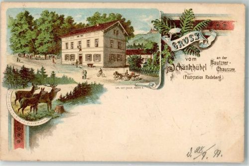 01454 O8142 Radeberg 1899 Lithographie Gasthaus Schänkhübel Hirsch Rehe Farn