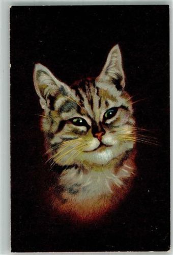 Katze Hoffmann´s Stärke 1914 Lithographie / Künstlerkarte