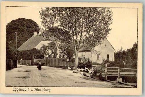 Eggersdorf Dorfstraße Gänse