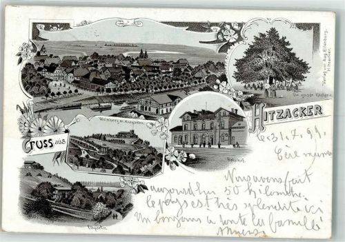 29456 W3139 Hitzacker Elbe 1899 Lithographie Bahnhof Weinberg Kurgarten Große Kastanie