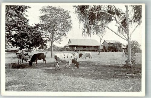 Mission Station Yabim