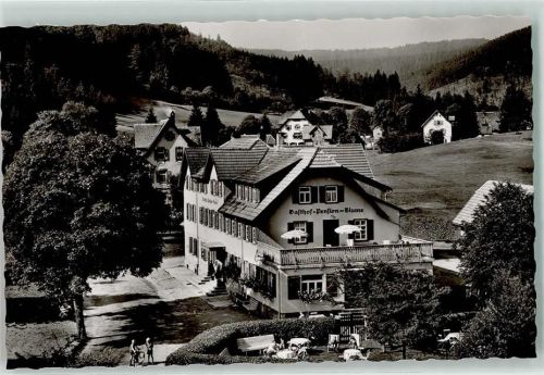 72270 W7292 Obertal , Kr Freudenstadt - Gasthaus Pension z. Blume
