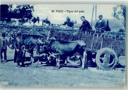 Vigo - Tipos del pafs Rindviehgespann