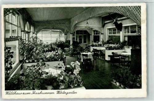 36381 W6490 Schlüchtern - Waldhaus zum Acisbrunnen Wintergarten