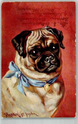 1929 Hund Mops
