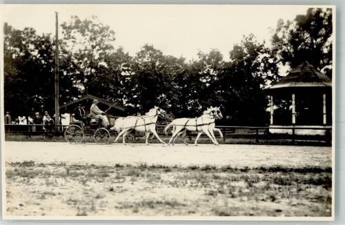 W8398 Anzing Kutsche Hindernisreiten Privatfoto AK