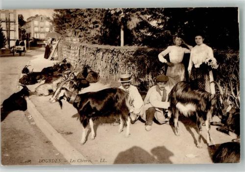 Lourdes 1910 - 1918 Les Chevres Ziegen werden gemolken