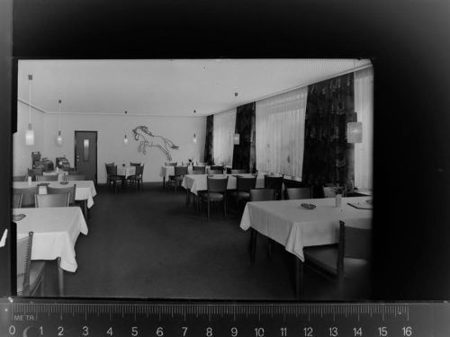 Dülmen Hotel Wildpferd