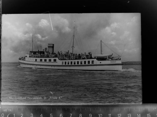 Niederspay D. Frisi X